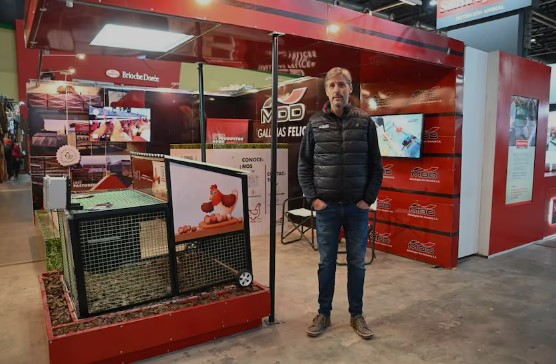 Emprendiendo en Argentina: Dejó de ser contador y creó un gallinero para tener en cualquier casa 