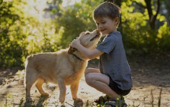 La inteligencia artificial elige la mejor raza de perros para&nbsp;niños